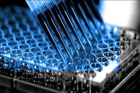 Pruebas de toxicología in vitro Mercado
