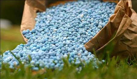 Proveedores de servicios de pruebas agrícolas Mercado