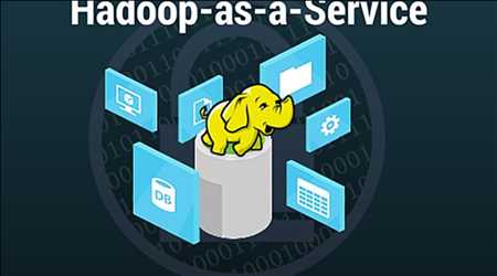 HADOOP COMO SERVICIO (HAAS) Mercado